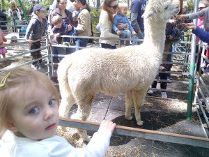 Manhattan-20130505-00182